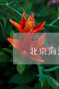 北京海淀代理债权债务律师 北京海淀代理债权债务律师