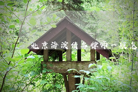 北京海淀债务律师一般怎么收费 北京海淀债务律师一般怎么收费