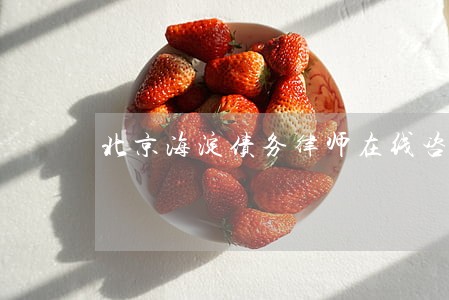北京海淀债务律师在线咨询