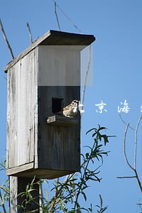 北京海淀债务执行律师联系方式 北京海淀债务执行律师联系方式