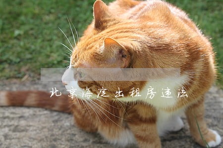 北京海淀出租房违法