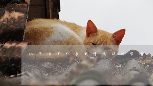北京海淀刑事案件请律师咨询 北京海淀刑事案件请律师咨询