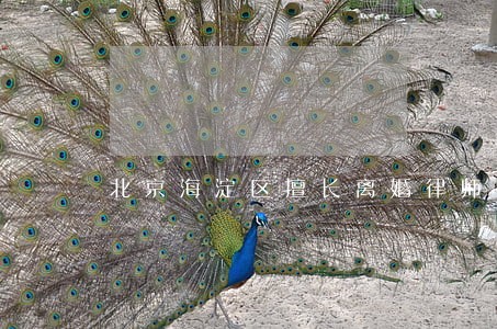 北京海淀区擅长离婚律师 北京海淀区擅长离婚律师