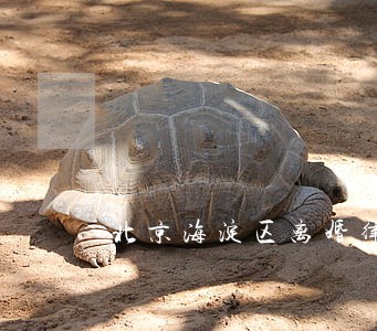北京海淀区离婚律师报价 北京海淀区离婚律师报价