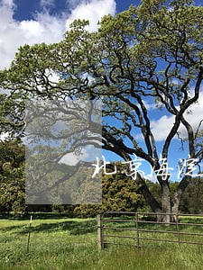 北京海淀区财产继承律师 北京海淀区财产继承律师