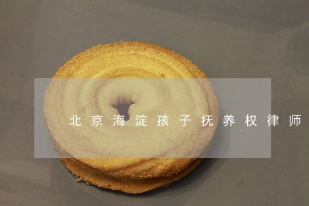 北京海淀孩子抚养权律师网站