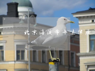 北京海淀常年法律顾问 北京海淀常年法律顾问