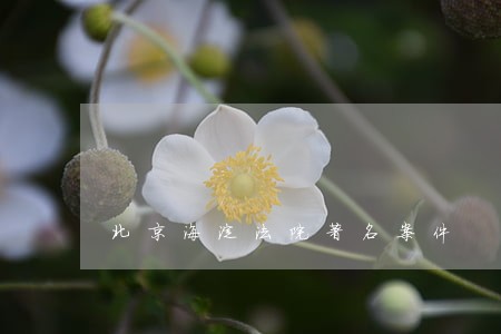 北京海淀法院著名案件 北京海淀法院著名案件