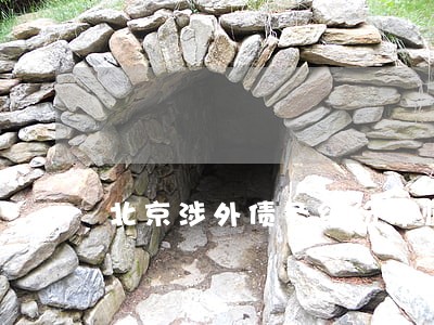 北京涉外债务纠纷律师咨询 北京涉外债务纠纷律师咨询