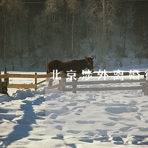 北京涉外离婚律师网站 北京涉外离婚律师网站