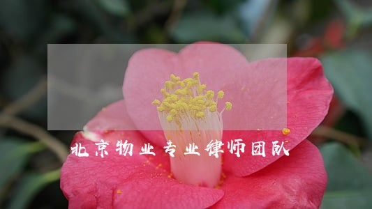 北京物业专业律师团队 北京物业专业律师团队