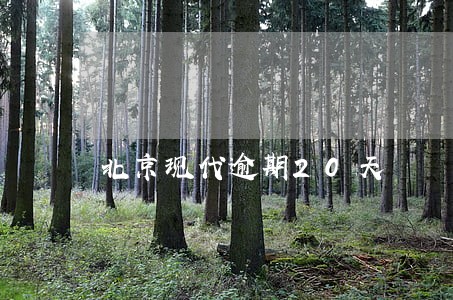 北京现代逾期20天 北京现代逾期20天