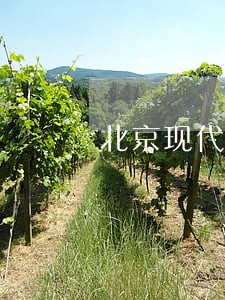北京现代逾期2个月说来拖车 北京现代逾期2个月说来拖车