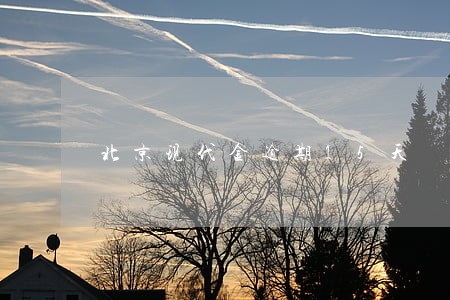 北京现代金逾期15天