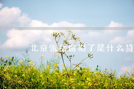 北京瓴岳逾期了是什么贷款 北京瓴岳逾期了是什么贷款
