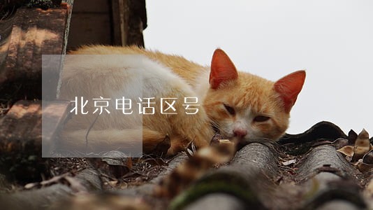 北京电话区号 北京电话区号