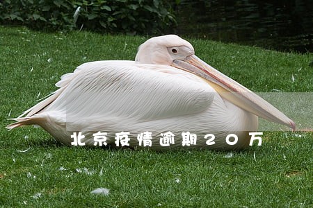 北京疫情逾期20万 北京疫情逾期20万