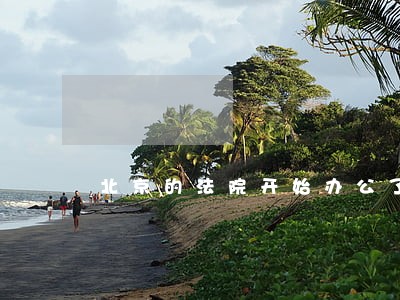 北京的法院开始办公了吗 北京的法院开始办公了吗