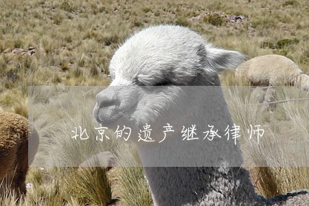 北京的遗产继承律师 北京的遗产继承律师