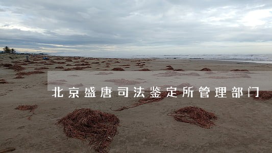 北京盛唐司法鉴定所管理部门 北京盛唐司法鉴定所管理部门