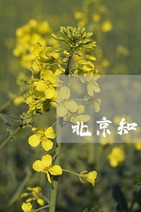 北京知产法院庭审视频