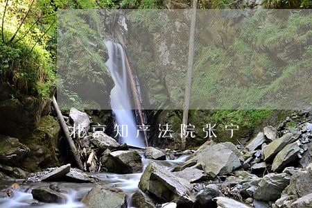 北京知产法院张宁 北京知产法院张宁