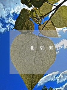 北京知产法院给出6大提示 北京知产法院给出6大提示