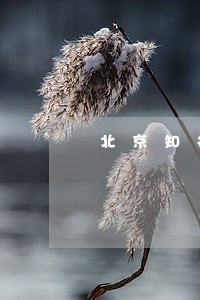 北京知名公律顾问咨询电话 北京知名公律顾问咨询电话