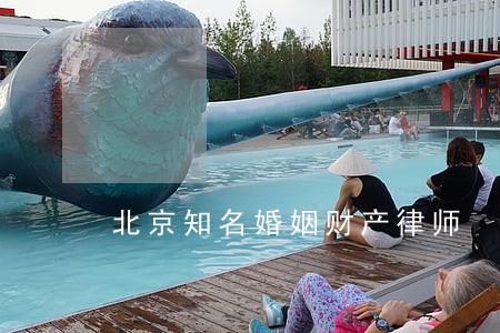 北京知名婚姻财产律师 北京知名婚姻财产律师