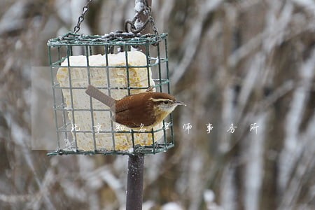 北京知名律师事务所 北京知名律师事务所