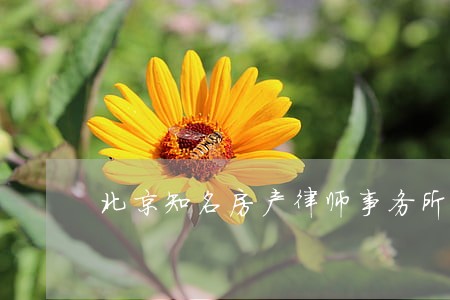 北京知名房产律师事务所 北京知名房产律师事务所