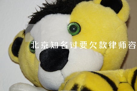 北京知名讨要欠款律师咨询 北京知名讨要欠款律师咨询