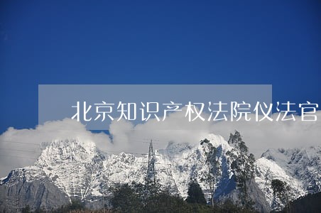 北京知识产权法院仪法官