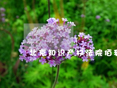 北京知识产权法院佰利