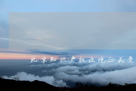 北京知识产权法院正式受理 北京知识产权法院正式受理