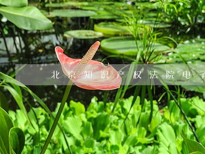 北京知识产权法院电子邮箱 北京知识产权法院电子邮箱