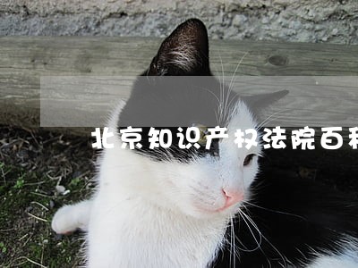 北京知识产权法院百科