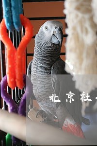 北京社会信用联盟逾期人员名单 北京社会信用联盟逾期人员名单