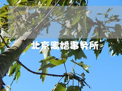 北京离婚事务所 北京离婚事务所