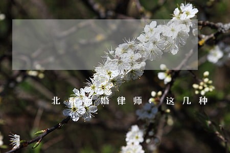 北京离婚律师:这几种 北京离婚律师:这几种