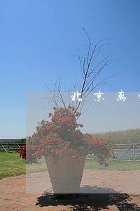北京离婚律师一般哪家好 北京离婚律师一般哪家好