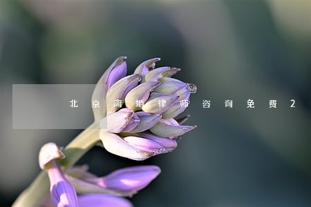 北京离婚律师咨询免费2