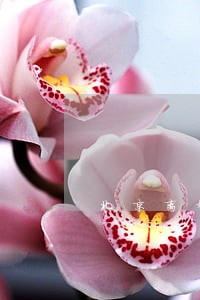 北京离婚律师收费价目表 北京离婚律师收费价目表