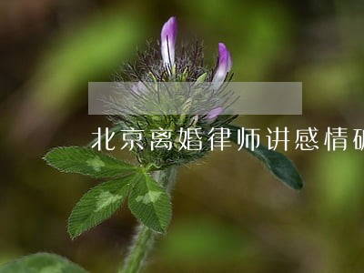 北京离婚律师讲感情破裂 北京离婚律师讲感情破裂