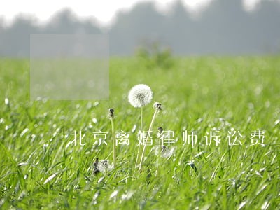 北京离婚律师诉讼费 北京离婚律师诉讼费