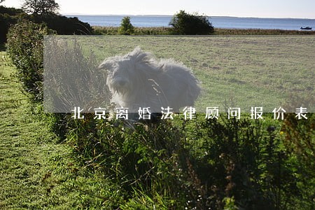 北京离婚法律顾问报价表 北京离婚法律顾问报价表