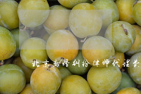 北京离婚纠纷律师代理费 北京离婚纠纷律师代理费