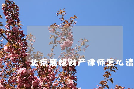 北京离婚财产律师怎么请委托 北京离婚财产律师怎么请委托