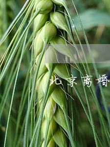 北京离婚财产诉讼 北京离婚财产诉讼