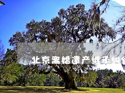 北京离婚遗产继承纠纷律师费用 北京离婚遗产继承纠纷律师费用